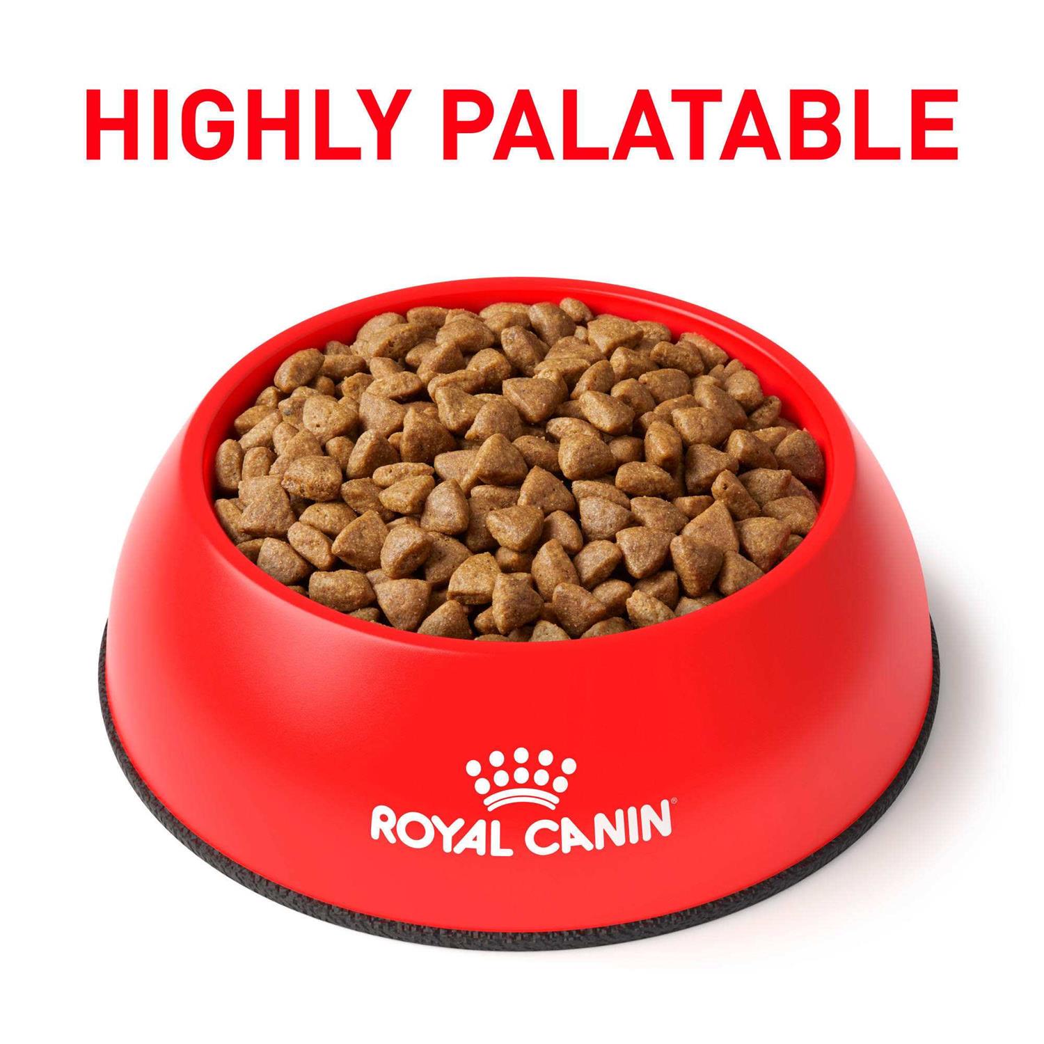 Royal Canin Veterinary Diet Feline Selected Protein PR Dry Food - Pet Supplies online store