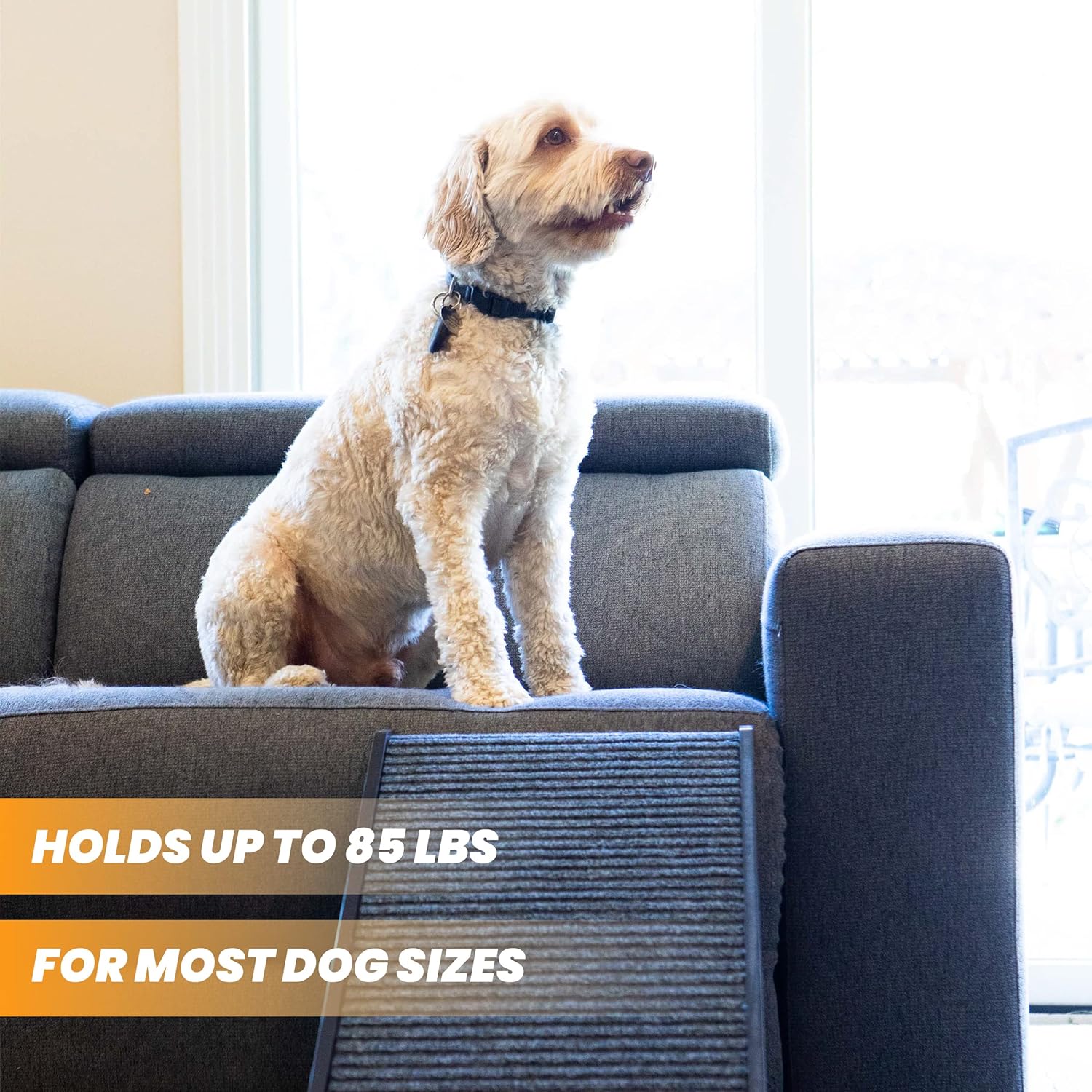 Adjustable Dog Ramp - Folding Dog Ramp for Bed or Couch - Pet Ramp for Small, Medium, and Large Dogs and Cats