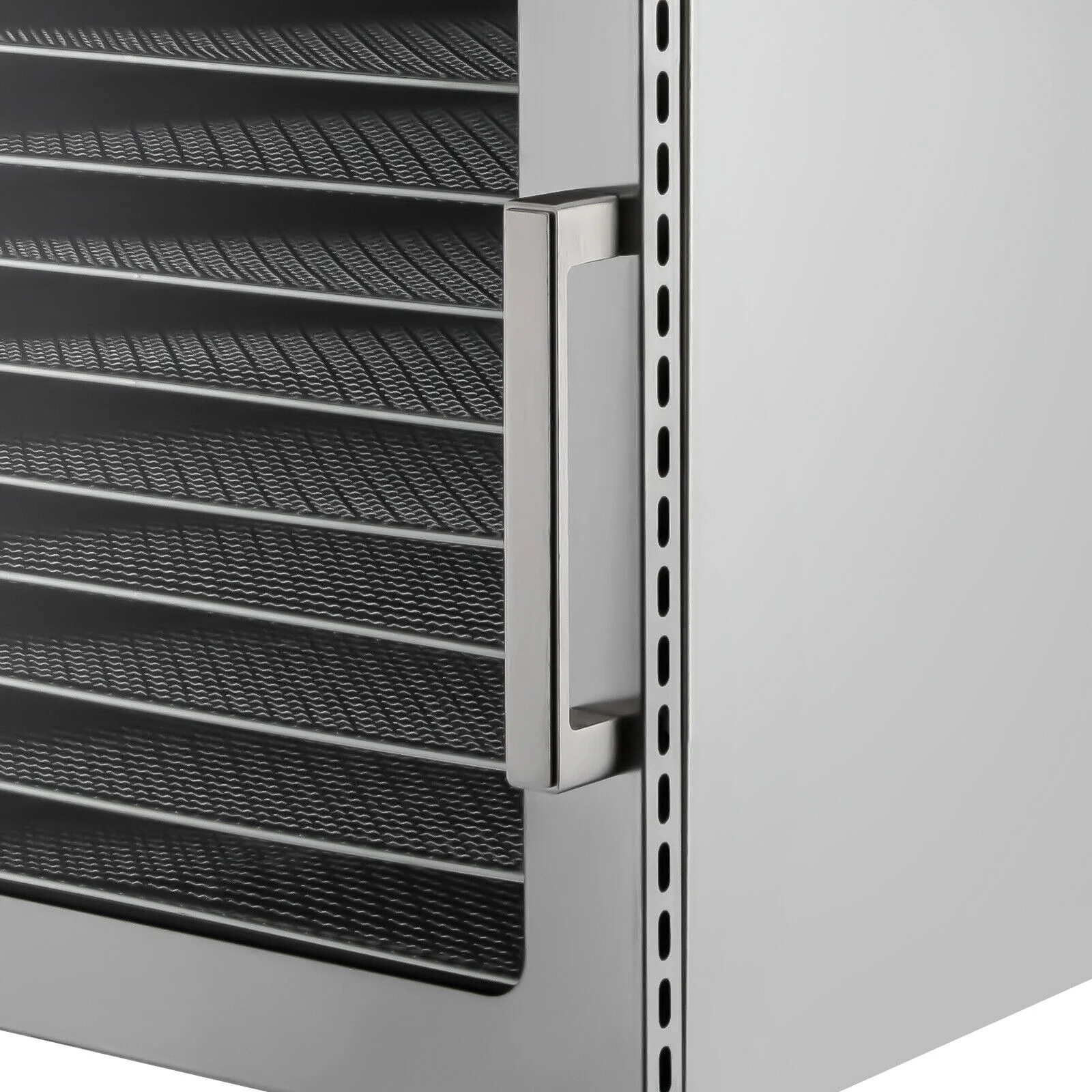 10 Trays Food Dehydrator Machine Stainless Steel Meat Jerky Dryer with Timer