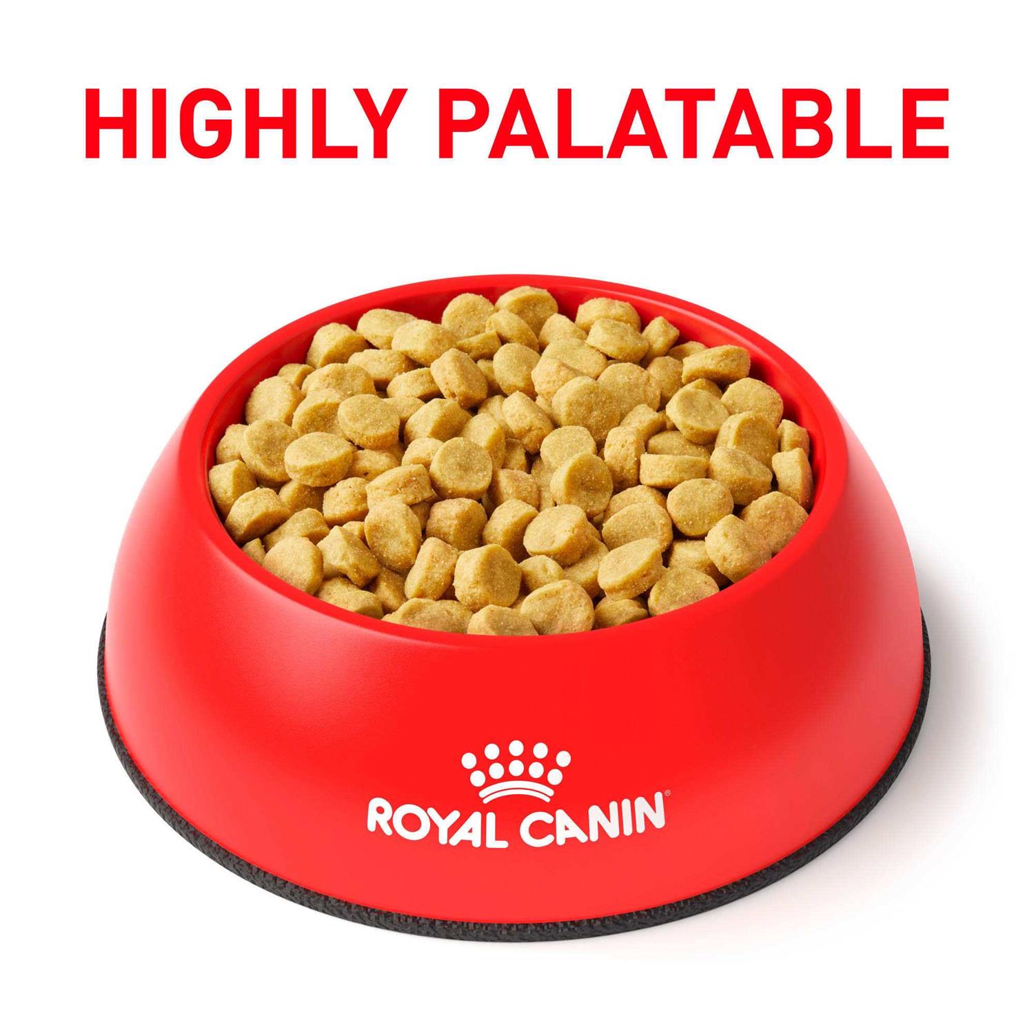Royal Canin Veterinary Diet -Hydrolyzed Protein HP. Dry Dog Food - Pet Supplies online store