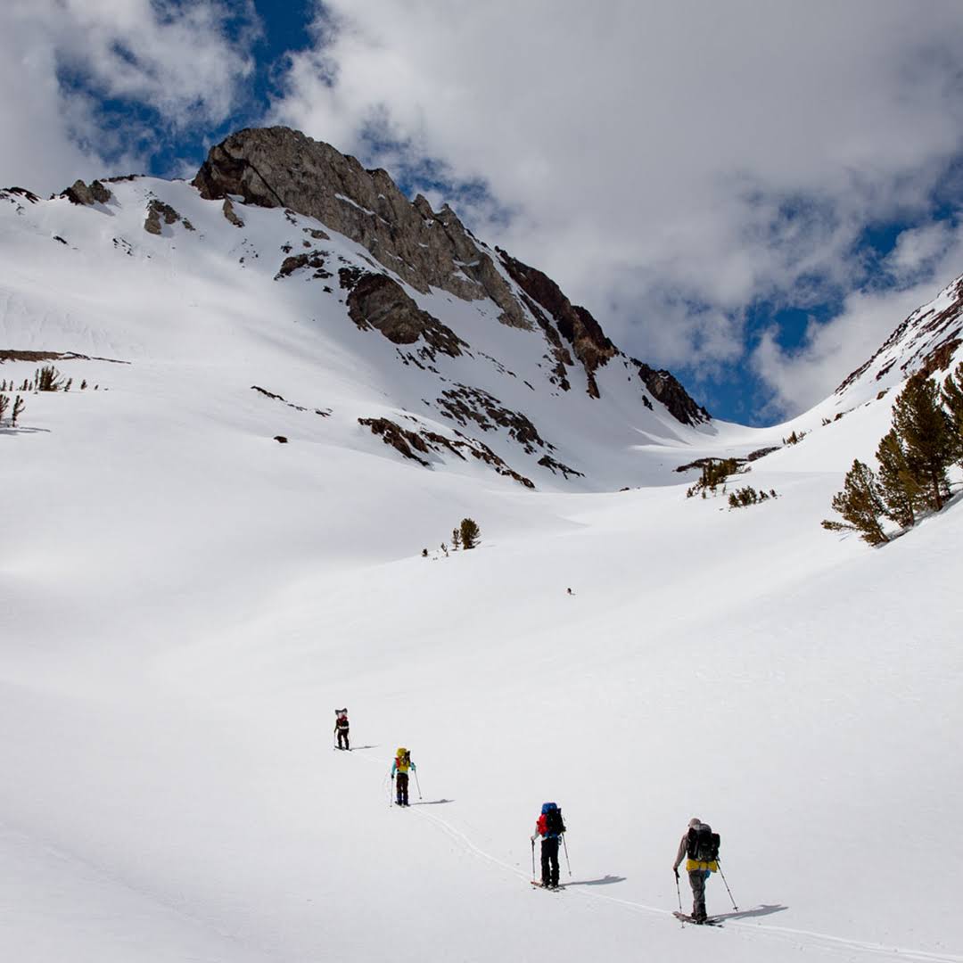 Jones Solution Splitboard