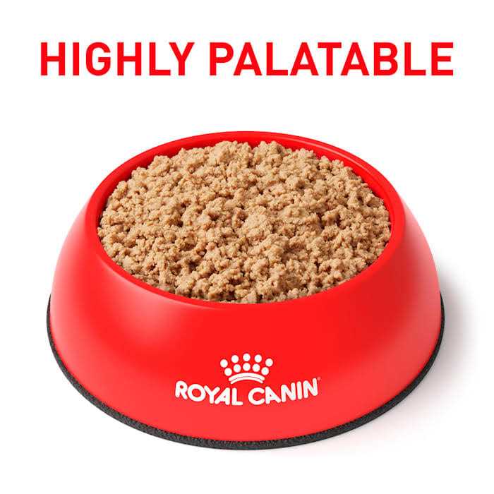 Royal Canin Veterinary Diet Selected Protein PR Adult Canned Cat Food - Pet Supplies online store