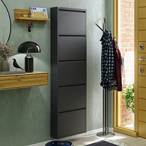 5 Tier Metal Shoe Cabinet with Cover, Durable Shoe Storage Organizer for Entryway, Space Saving Shoe Shelf Closet with Front Ventilation Holes, 5.91" x 66.5" x 19.68", Anthracite