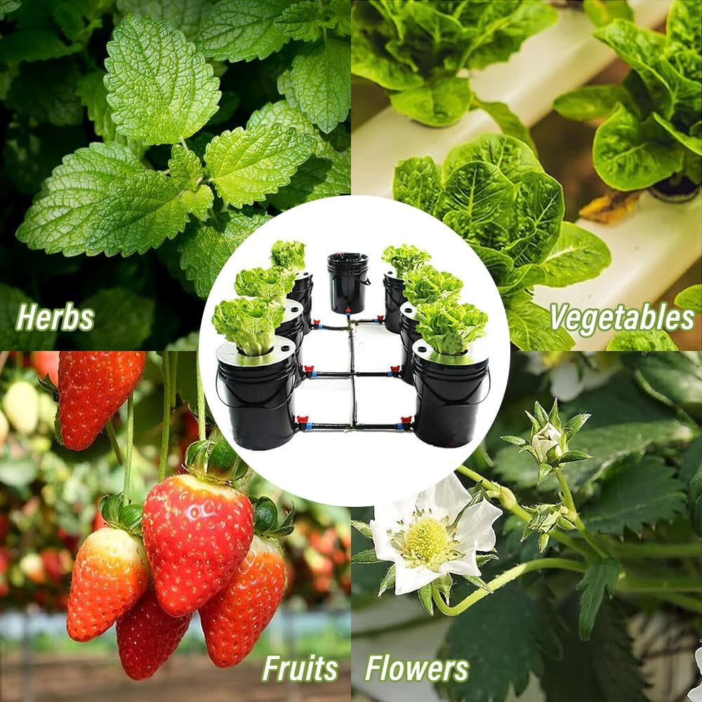 Hydroponic System, Growing System Kit 7 Bucket 5 Gallon Recirculating Deep Water Aquaculture, Hydroponic Growing Kit with Pump, Air Stone and Water Leveling Device for Indoor/Outdoor Leafy Vegetables