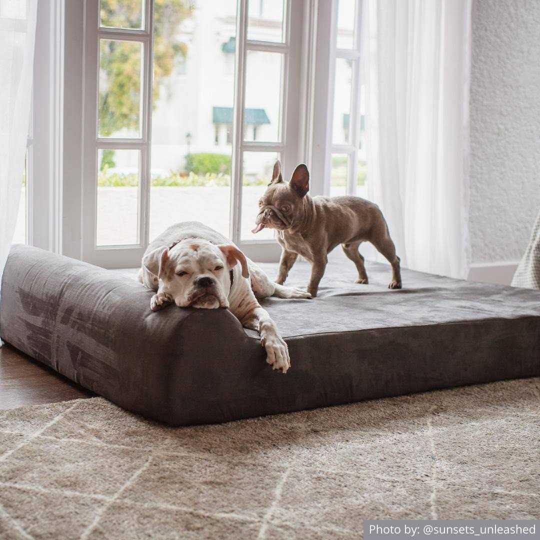 Big Barker Headrest Pillow Top Orthopedic Dog Bed - Pet Supplies online store