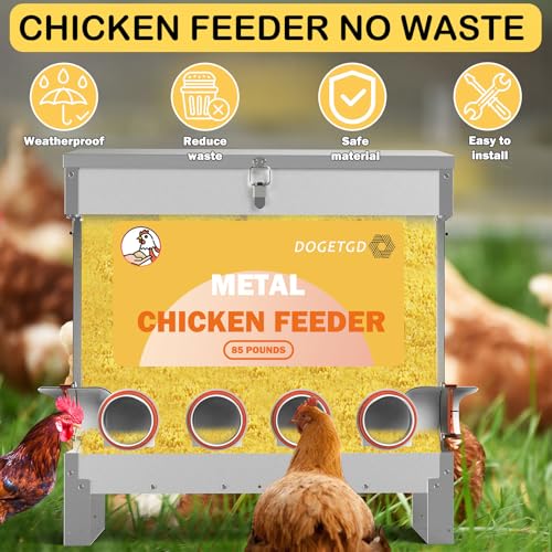 Automatic Chicken Feeder No Waste Metal Poultry Feeder Large Capacity 85lbs for Chickens, Geese, Ducks, Turkeys, Quails (10-Port)