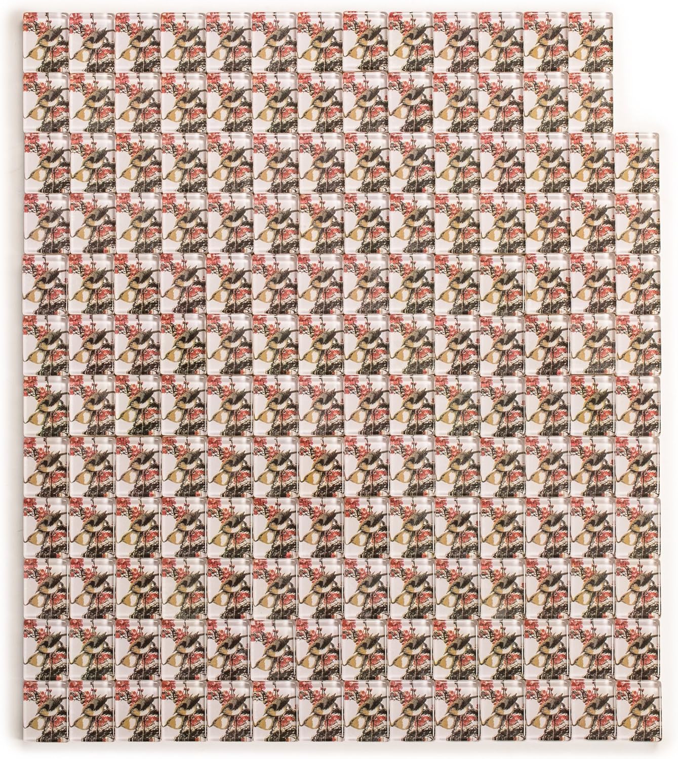Yellow Mountain Imports Set of 166 American Mahjong (Mah Jong, Mahjongg, Mah-Jongg, Mah Jongg) Tiles, Little Bird