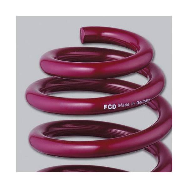 Vogtland 952085 Sport Lowering Spring Kit