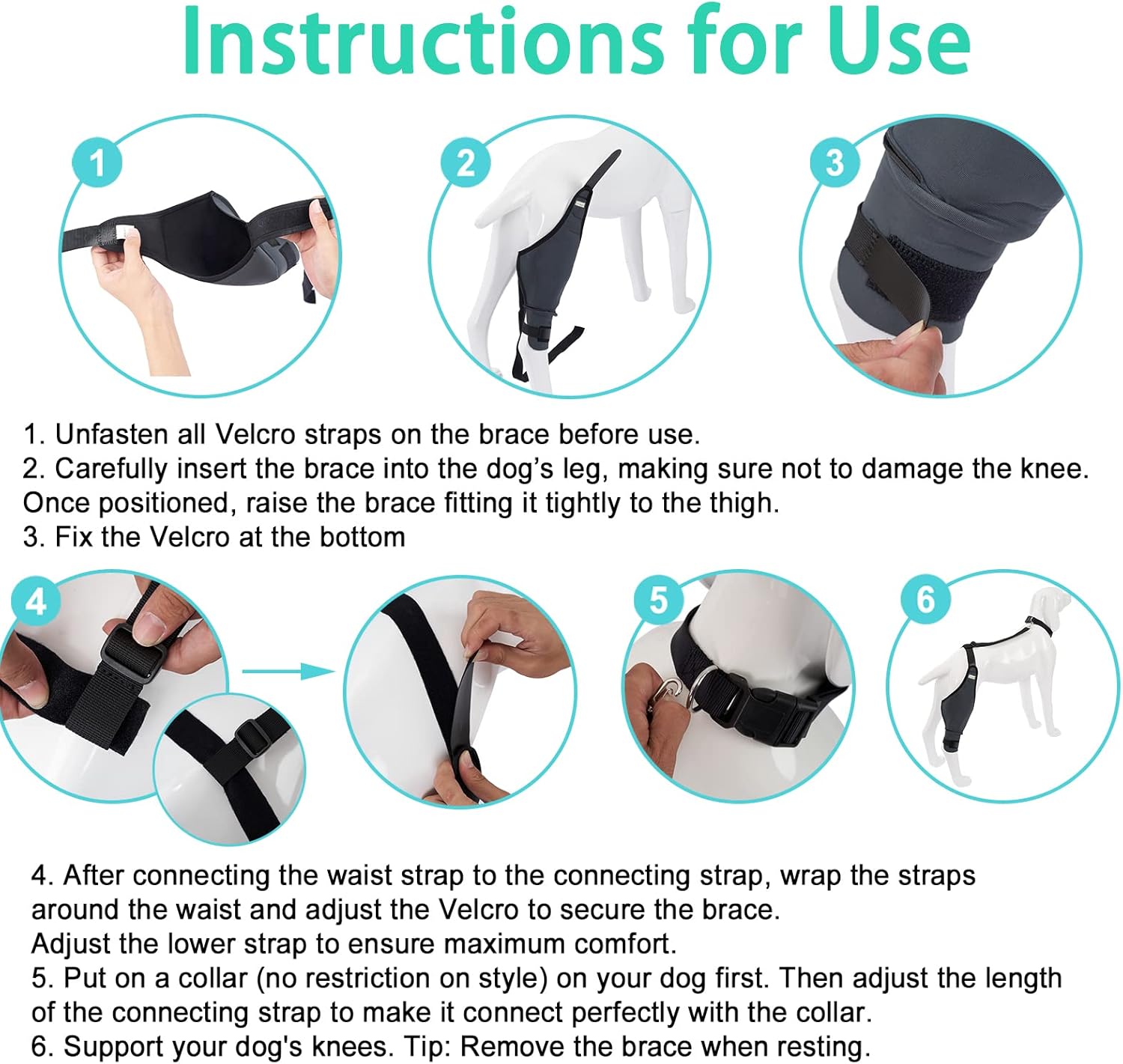 IN HAND Canine Dog Knee Brace, Knee Immobilizer Support for Dogs with Torn ACL, Knee Cap Dislocation, Arthritis, Neoprene Canine Stifle Brace Helps Keep The Joint Stable and Reduces Pain, Left