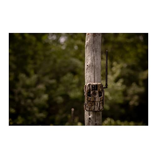 Stealth Cam Connect Cellular Trail Camera (AT&T, 2-Pack) Bundle with 32GB Ultra SDHC UHS-I Memory Card (100MB/s, 2-Pack) and All-in-One High-Speed Card Reader (5 Items)
