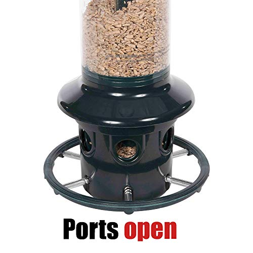 Squirrel Buster Plus Squirrel-proof Bird Feeder w/Cardinal Ring and 6 Feeding Ports, 5.1-pound Seed Capacity, Adjustable, Pole-mountable (POLE ADAPTOR SOLD SEPARATELY), Green