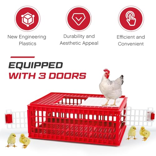 2 Pcs Poultry Carrier Crate 3 Door Chicken Transport Cage Plastic Poultry Carrier Basket Box for Chicken Duck Goose Birds, 29.53 x 21.65 x 11.42 Inch(Blue)