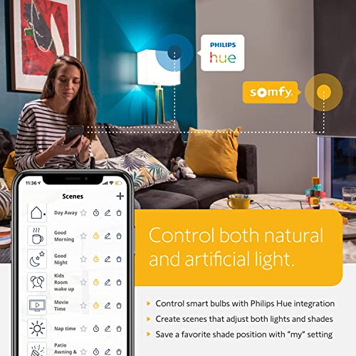 Somfy TaHoma Hub - Smart Home Gateway for RTS Blinds, Shades, and Awnings - Compatible with Voice Assistants, Easy Setup, Ethernet Connection Required for IOS - #1811731, #1870470