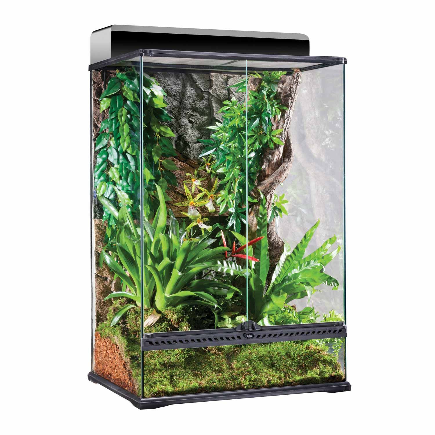 Exo Terra 24 x 18 x 36x22 Glass Terrarium