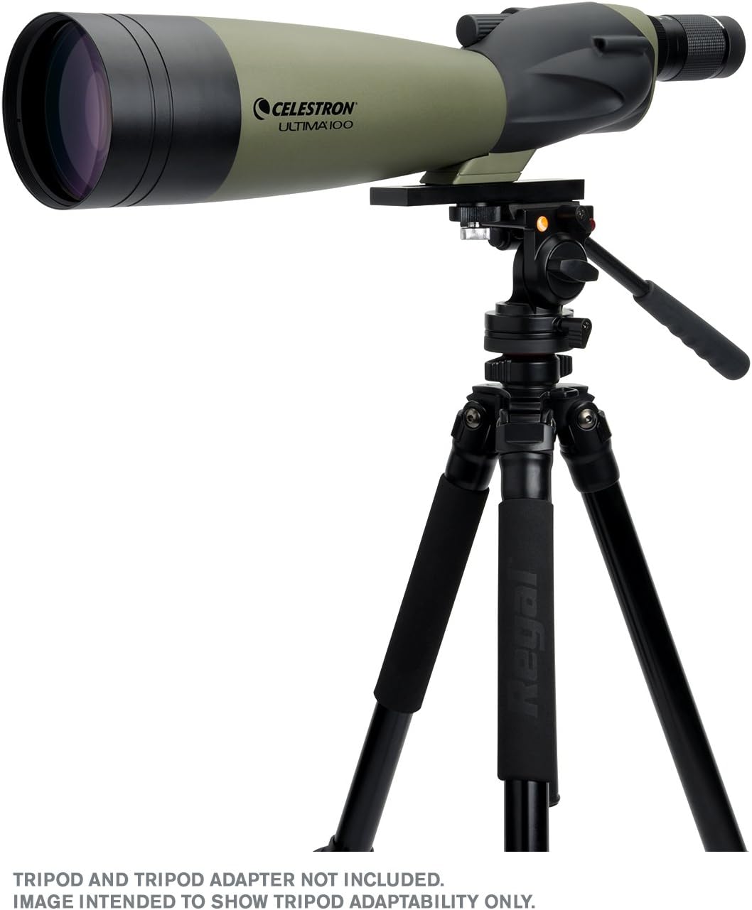 Celestron – Ultima 100 Angled Spotting Scope – 22 to 66x100mm Zoom Eyepiece – Multi-Coated Optics for Bird Watching, Wildlife, Scenery and Hunting – Waterproof & Fogproof– Includes Soft Carrying Case