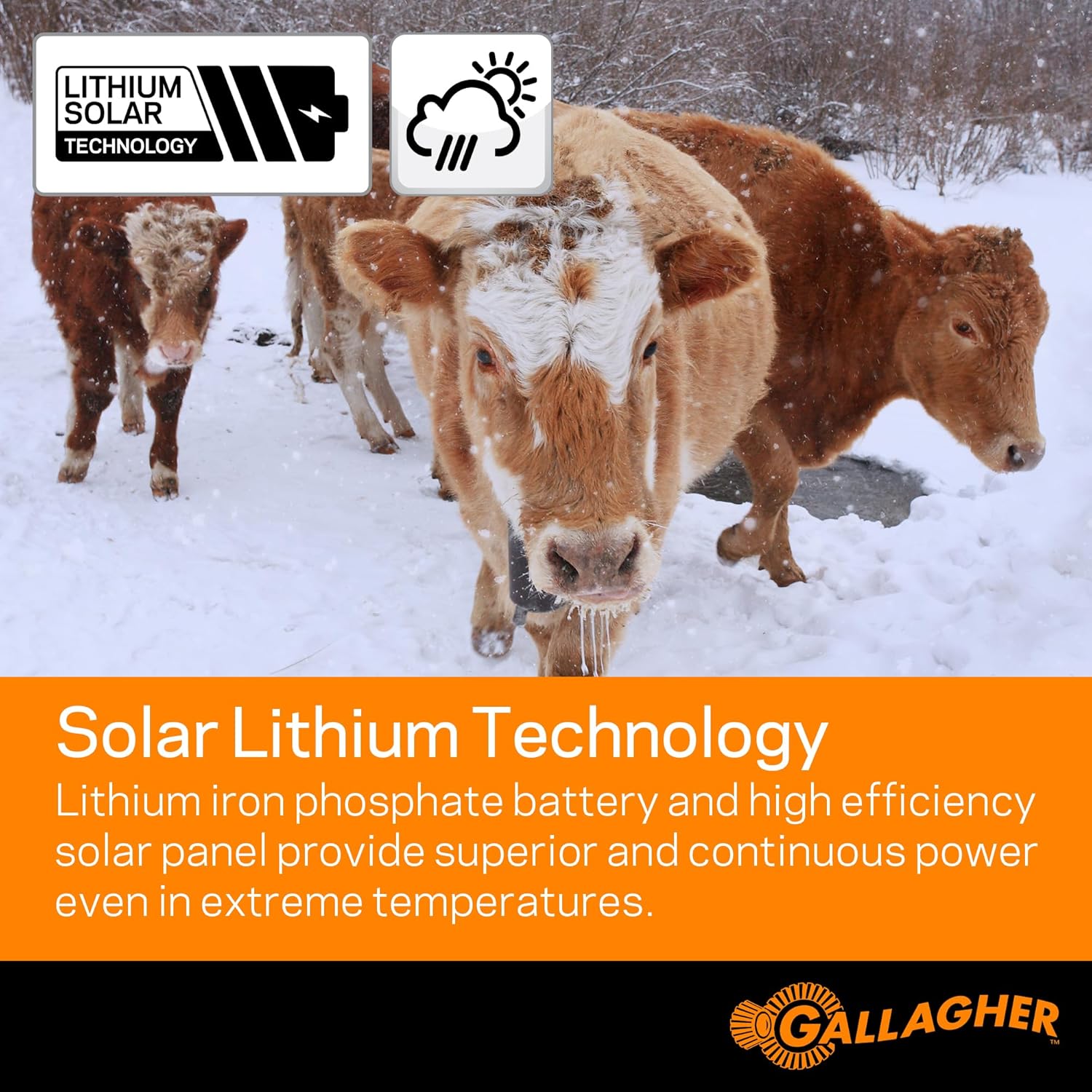 Gallagher S20 Solar Electric Fence Charger | Powers Up to 12 Miles / 14 Acres of Fence | Solar Lithium Technology | 0.2 Joule Solar Energizer for Poultry, Livestock, Gardens, and Pets