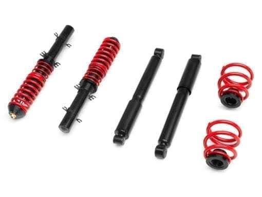 Raceland Classic Coilovers for Audi TT 8N Quattro (1998-2006)