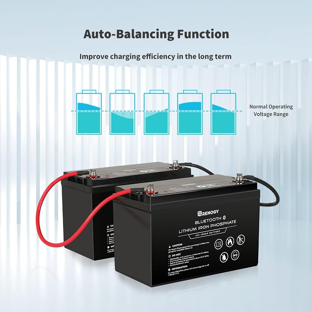 Renogy 12V 100Ah LiFePO4 Deep Cycle Lithium Battery with Bluetooth, 2000 Life Cycles, Built-in BMS, Backup Power Perfect for RV, Camper, Van, Marine, Off-Grid Home Energy Storage