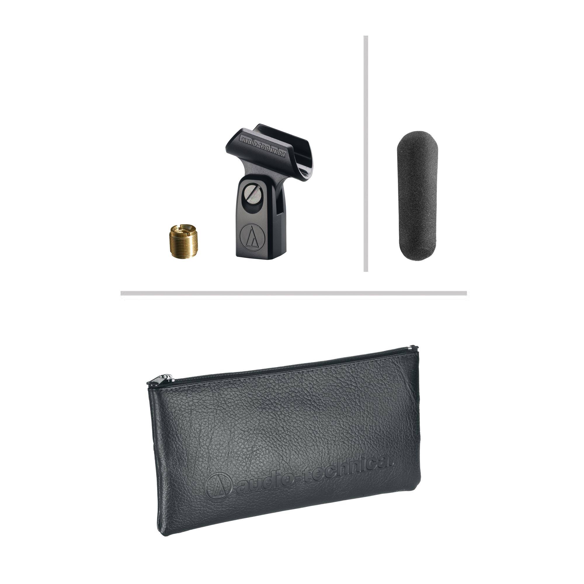 Audio-Technica AT875R Microphone