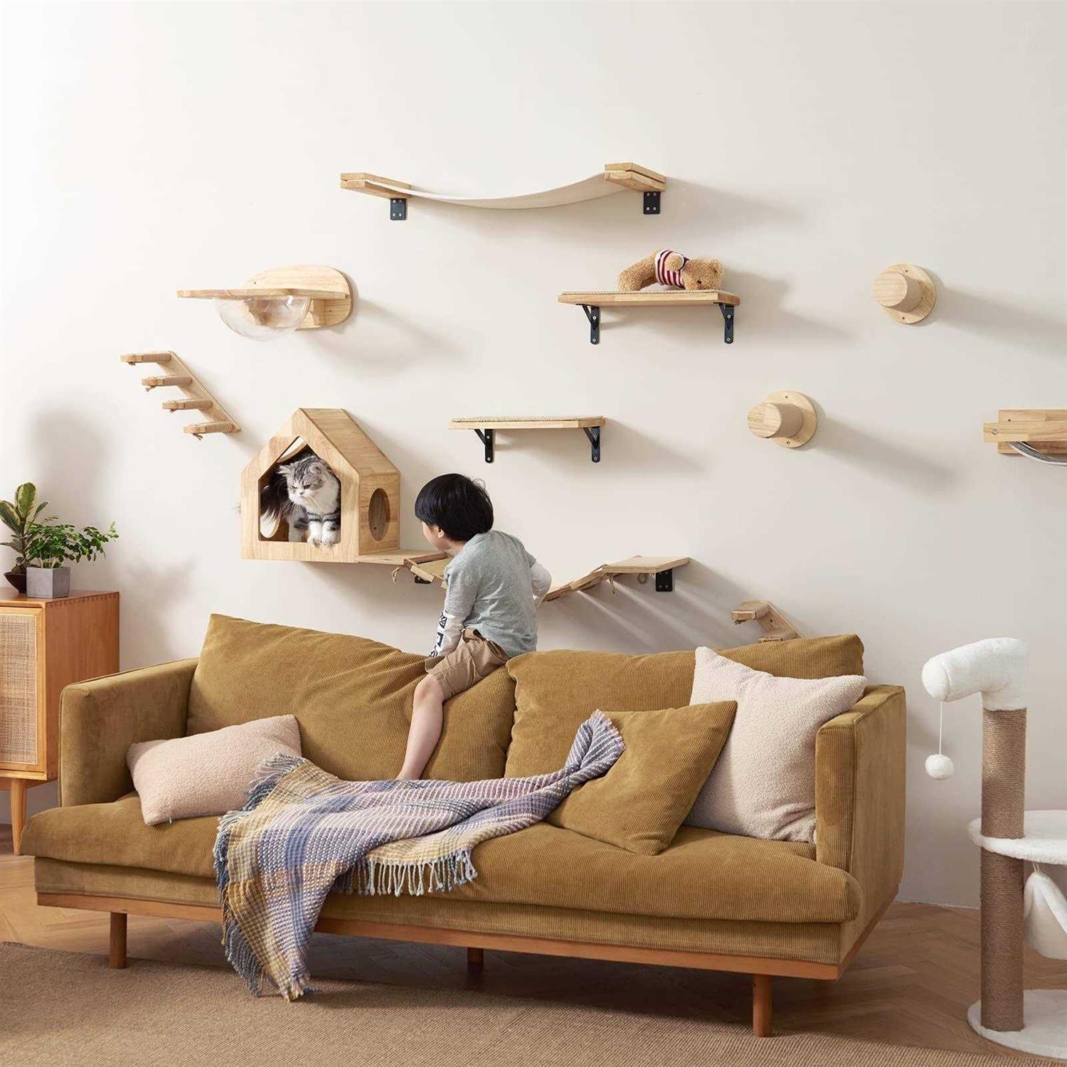 FUKUMARU Cat Wall Furniture Set Transparent Capsule Cat Wall Shelves with 2 PCS Pedals - Pet Supplies online store