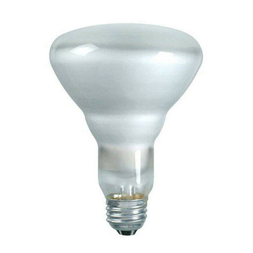 Sylvania 65W 130V BR30 fl Incandescent Light Bulb