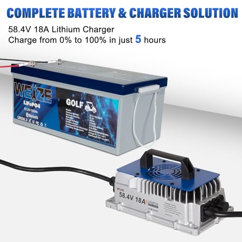 Weize 12V 100Ah TM LiFePO4 Lithium Battery, Built-in Smart BMS, Group 31 Deep Cycle Battery Perfect for Trolling Motor, RV, Solar, Marine, Overland/Van, and Off Grid Applications