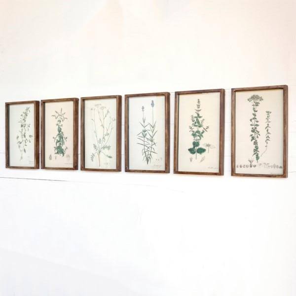Collected Botanical Prints, Set of 6