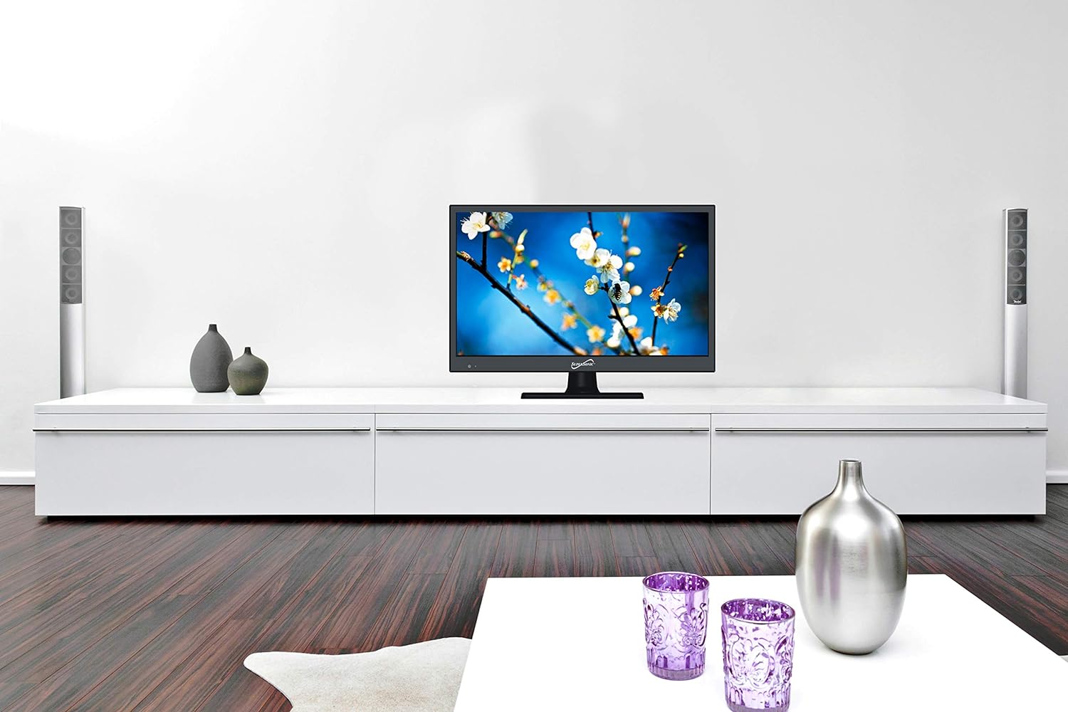 SuperSonic SC-2411 LED Widescreen HDTV & Monitor 24 Flat Screen with USB Compatibility, SD Card Reader, HDMI & AC/DC Input: Built-in Digital Noise Reduction (DC Cable not Included)