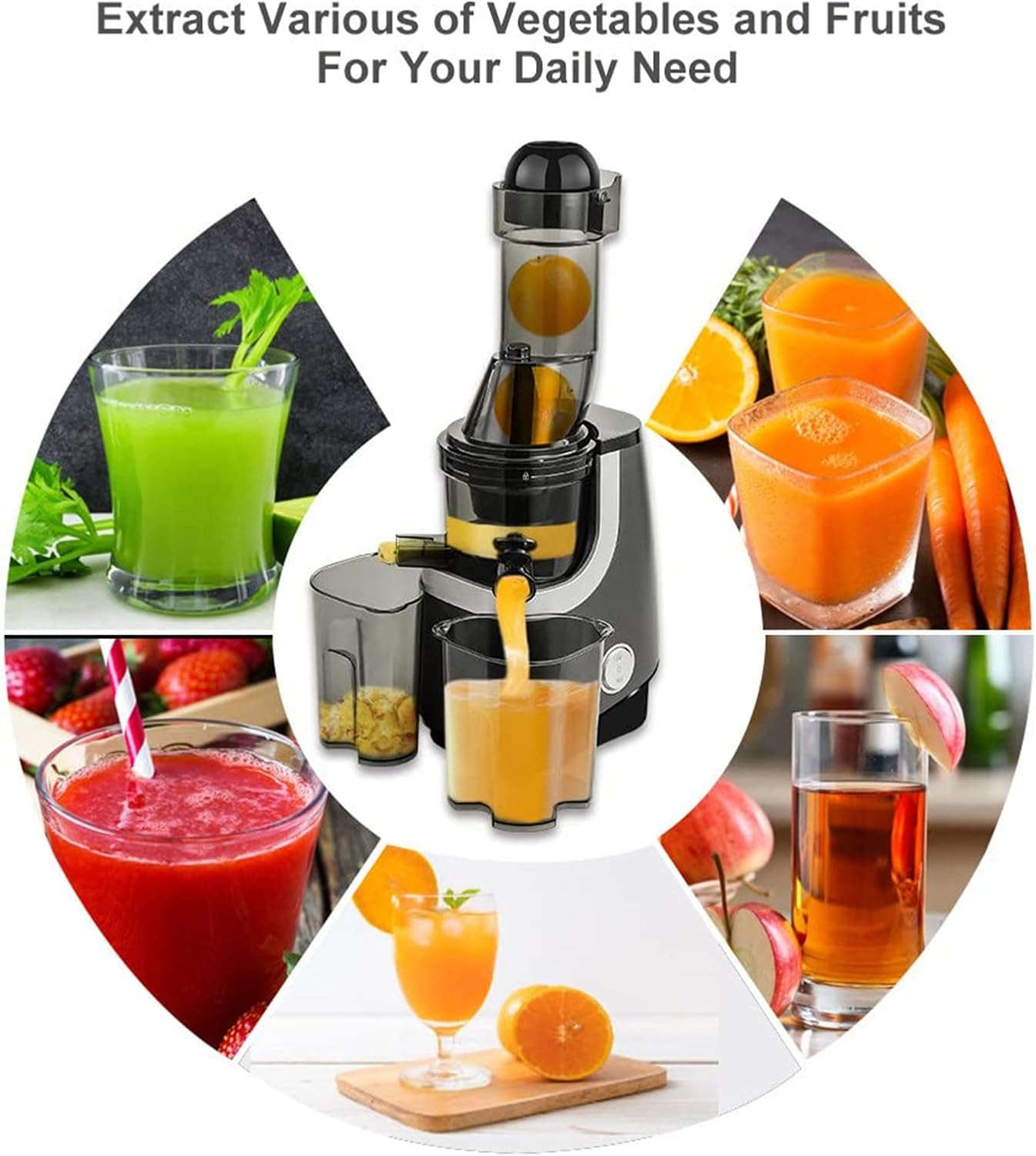 45RPM Electric Auger Juicer Vegetable and Fruit Juice Extractor,Professional Slow Masticating Juicer,High Juice Yield Extract Juice for Fruit & Vegetables
