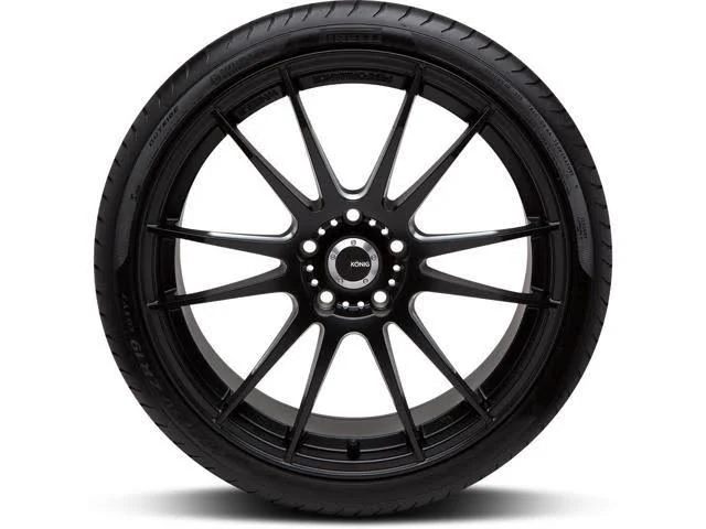 Pirelli P Zero Tire 255/40R19