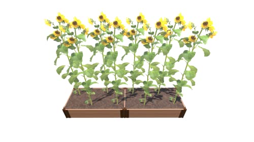 WEATHERED WOOD 2' X 8' X 11" RAISED GARDEN BED - 1" PROFILE