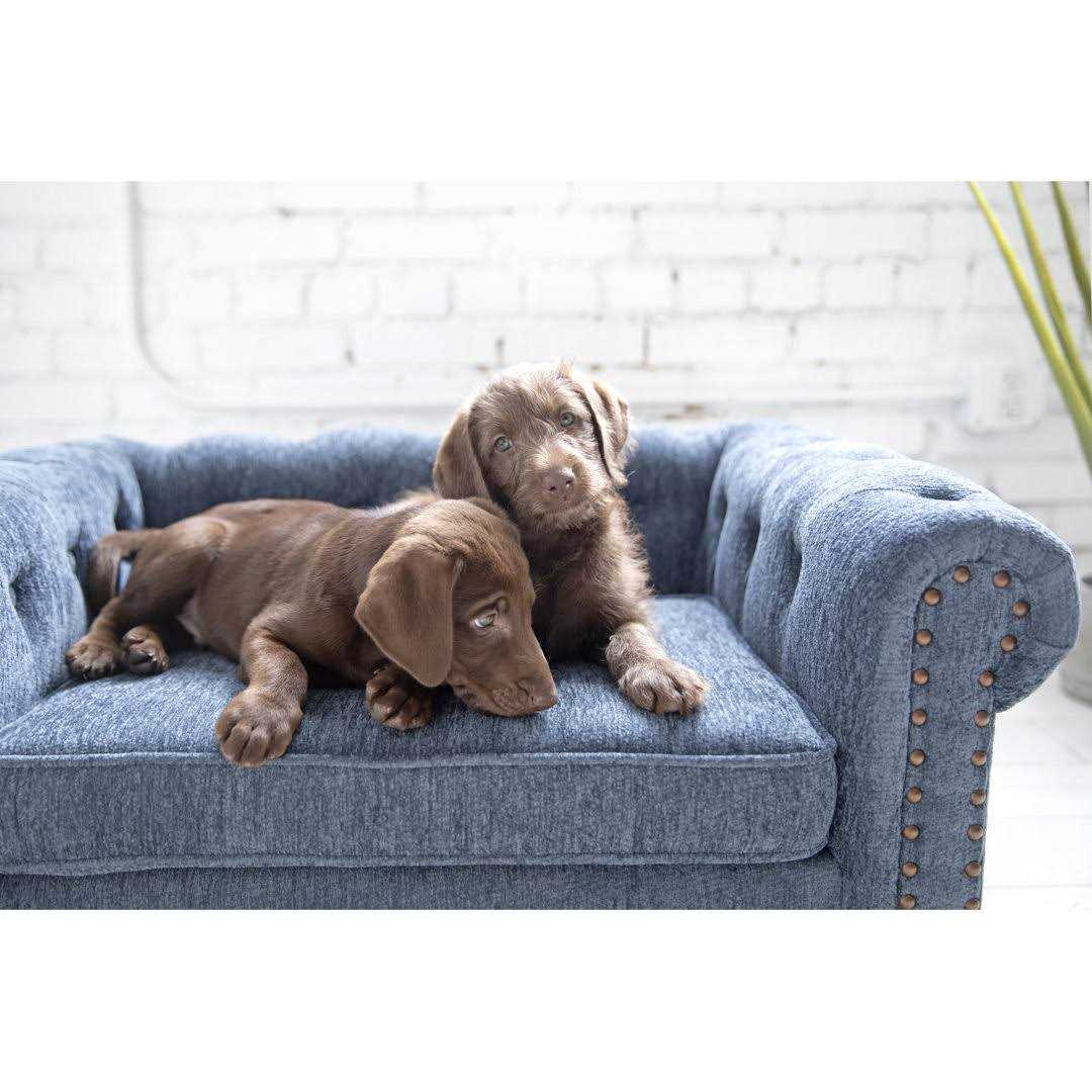 La Z Boy Tuscon Sofa Dog Bed - Pet Supplies online store