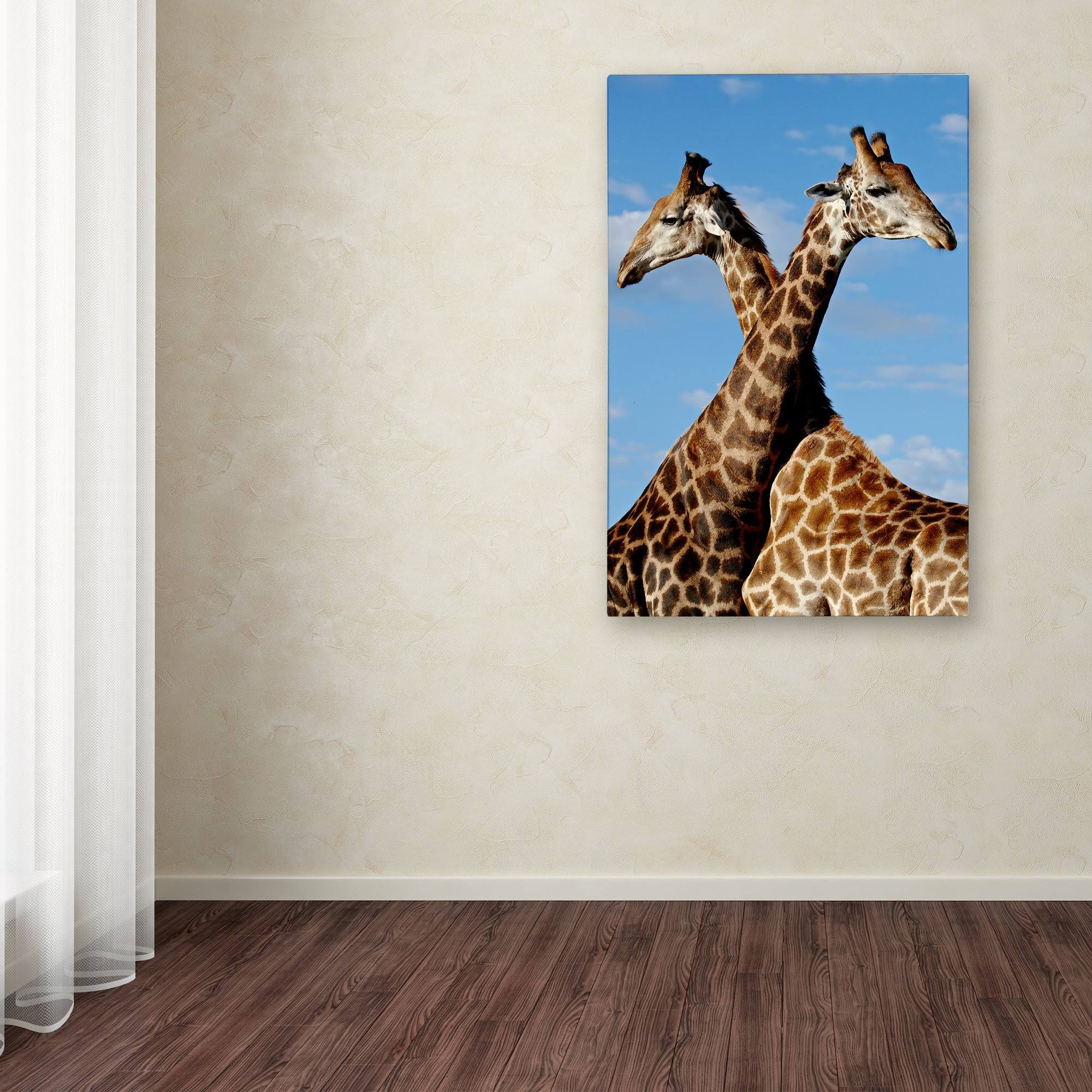 Robert Harding Picture Library &Two Giraffes& Canvas Art ALI19181-C