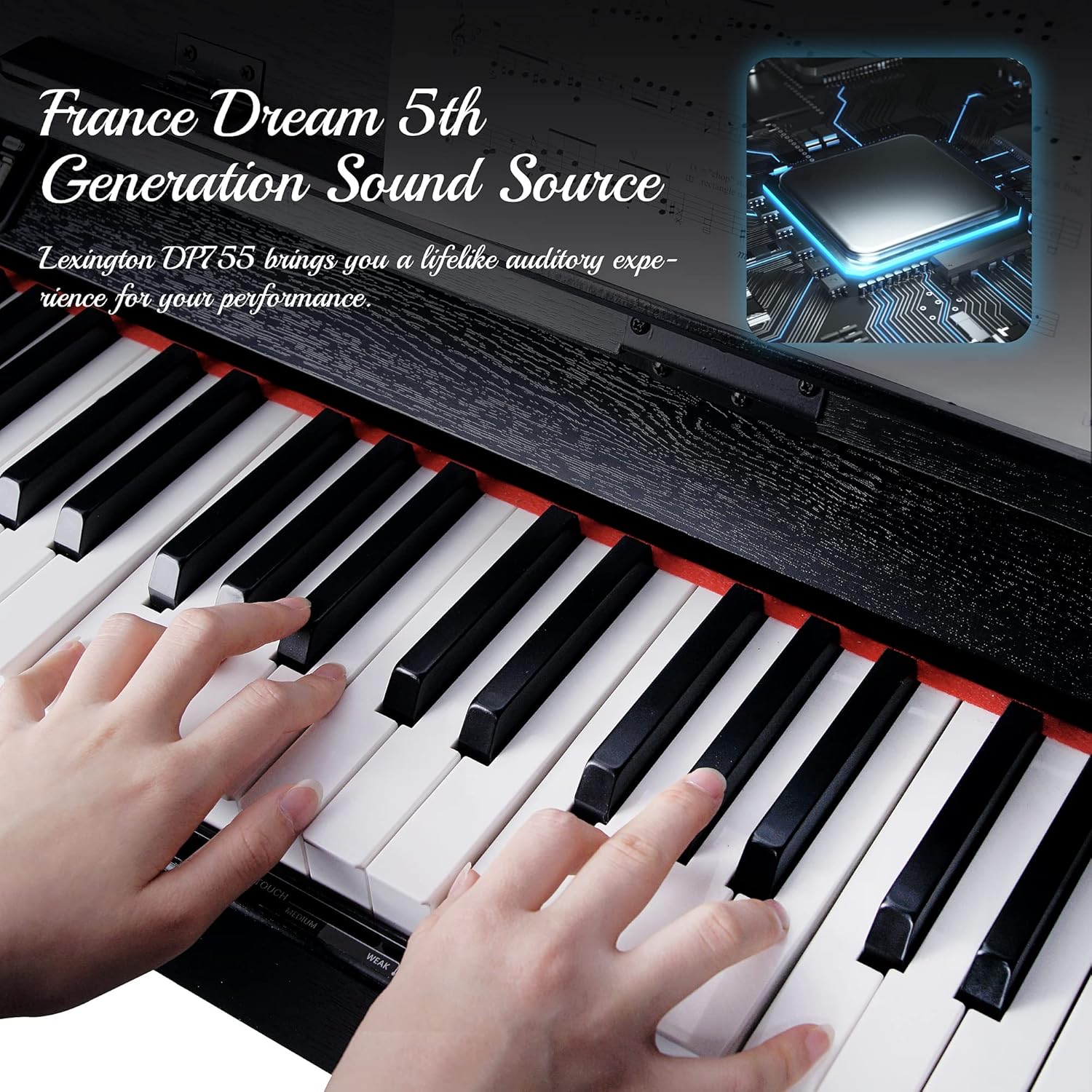 Lexington DP755 88 Keys Beginner Digital Piano Graded Hammer Action Weighted Keys