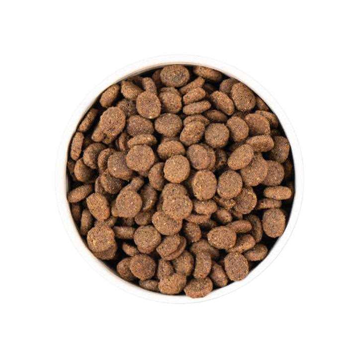 Earthborn Holistic Unrefined Smoked Salmon with Ancient Grains &amp; Superfoods Dry Dog Food - Pet Supplies online store