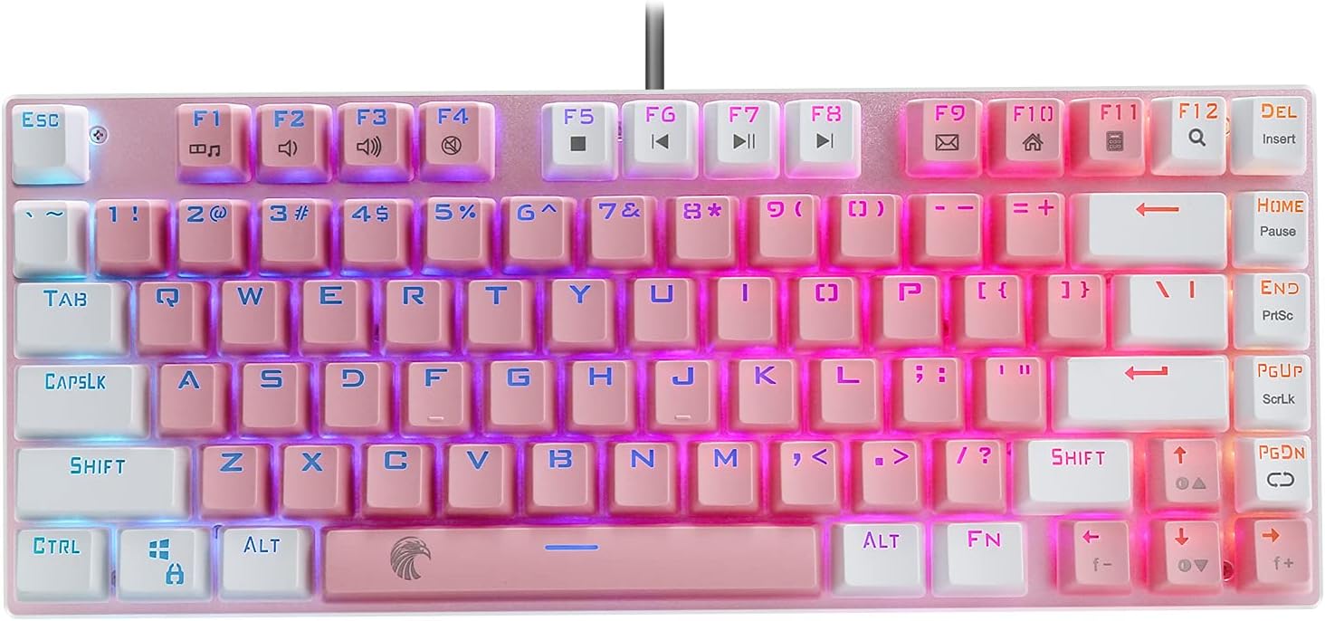 E-Yooso Z-88 RGB Mechanical Gaming Keyboard, Gold Color Metal Panel, Blue Switches - Clicky, 60% Compact 81 Keys Hot Swappable for Mac, PC, White and Pink