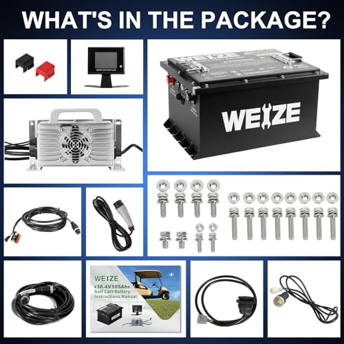 Weize 12V 100Ah TM LiFePO4 Lithium Battery, Built-in Smart BMS, Group 31 Deep Cycle Battery Perfect for Trolling Motor, RV, Solar, Marine, Overland/Van, and Off Grid Applications