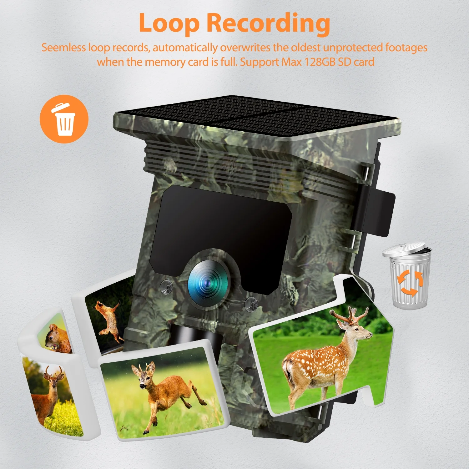 CAMPARK Solar WiFi Trail Camera Native 4K 30fps 46MP Bluetooth Game Camera with Night Vision Loop Recording Waterproof IP66 120° Motion Activated Hunting Trail Cam for Wildlife Monitoring