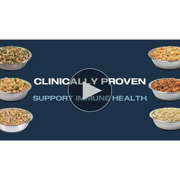 JustFoodForDogs Renal Support Low Protein Diet - Pet Supplies online store