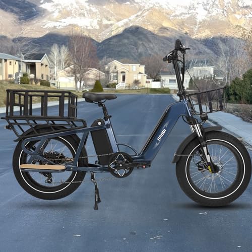 HAOQI Electric Bike for Adults, 750w Brushless Motor,48V 27.8Ah Dual Battery for 90-120 Miles Range,20 * 4" Fat Tire Cargo Ebike, 450lbs Weight Capacity with Front and Rear Baskets