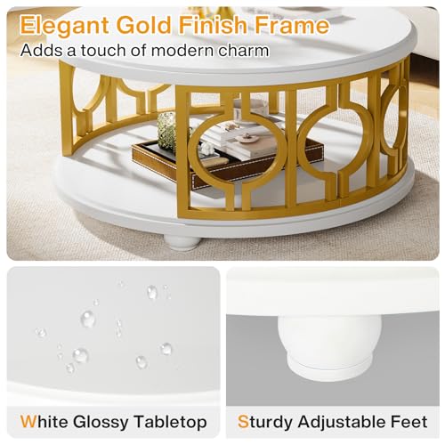 2-Tier Coffee Table, Modern Round Center Table with Storage Shelf for Living Room