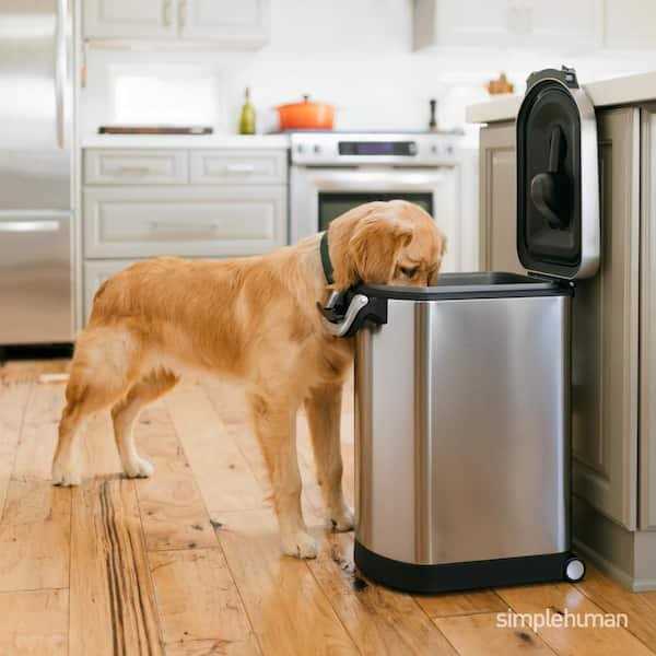 simplehuman Stainless Steel Large Pet Food Storage - Pet Supplies online store