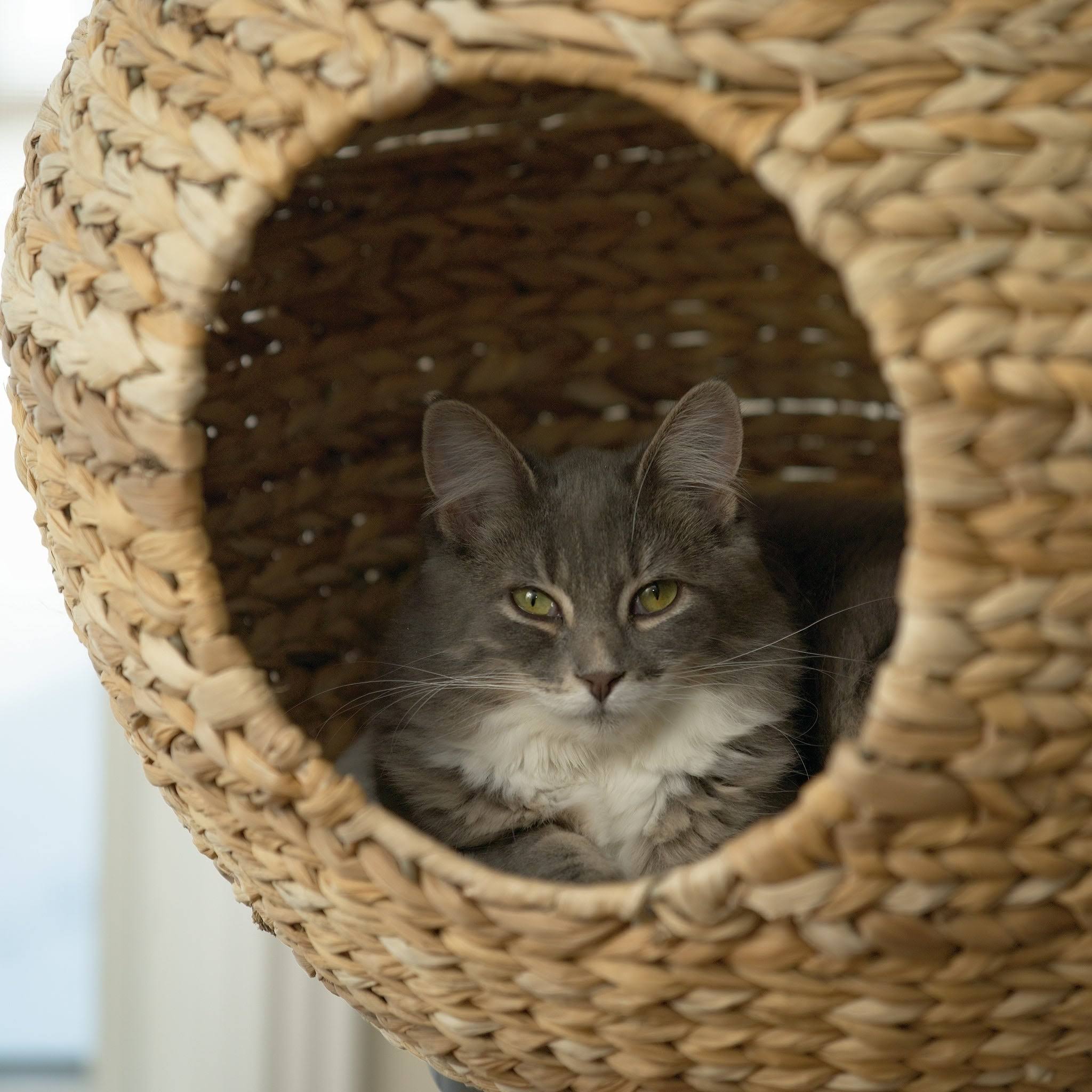 Sauder Natural Sphere Cat Tower