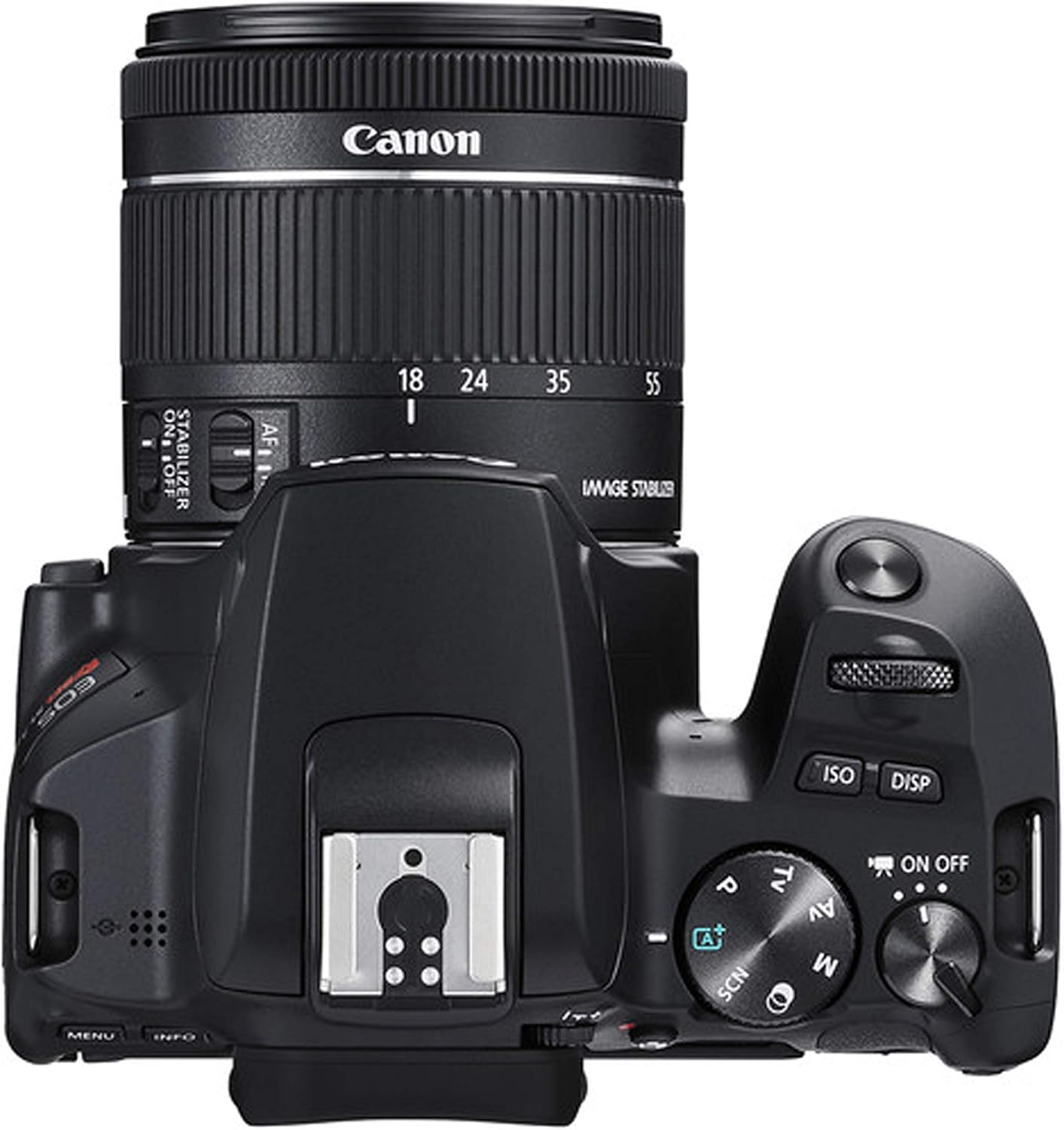 Canon EOS Rebel SL3 DSLR Camera w/EF-S 18-55mm F/4-5.6 STM Zoom Lens + 55-250mm f/4-5.6 is STM Lens + 420-800mm Super Telephoto Lens + 64GB Memory, Case, Tripod, Flash, Remote (38pc Bundle) (Renewed)