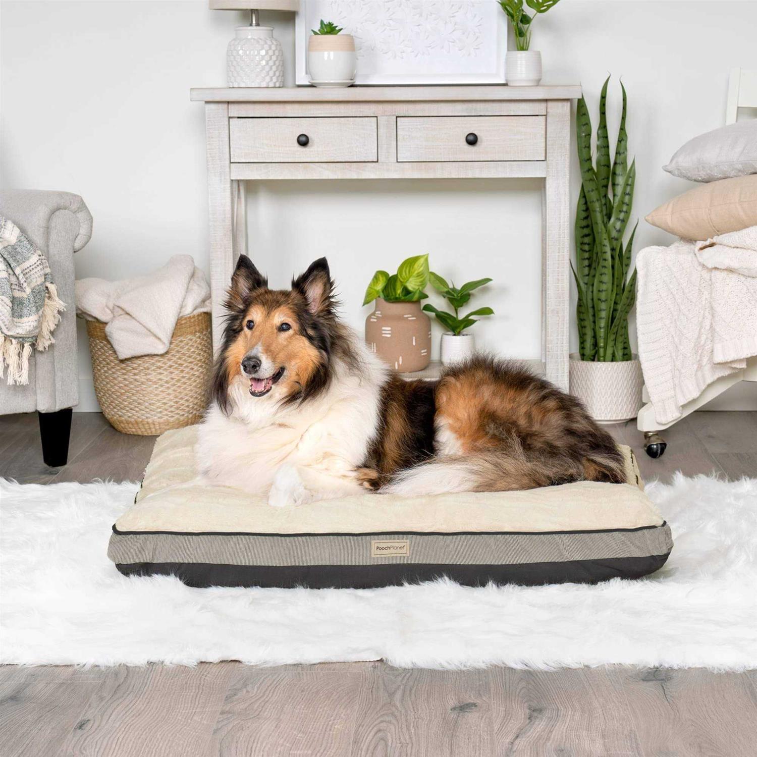 Pooch Planet Large Memory Foam Mix Dog Bed Plush Mattress w/Removable Washable Cover - Pet Supplies online store