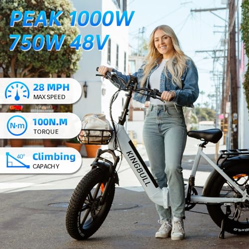 Electric Bike, Peak 1000W Motor 48V 17.5Ah Electric Bike for Adults, 28MPH 60Miles Range Commuter Electric Bicycle, CST 20"x 4.0" Electric Bicycle