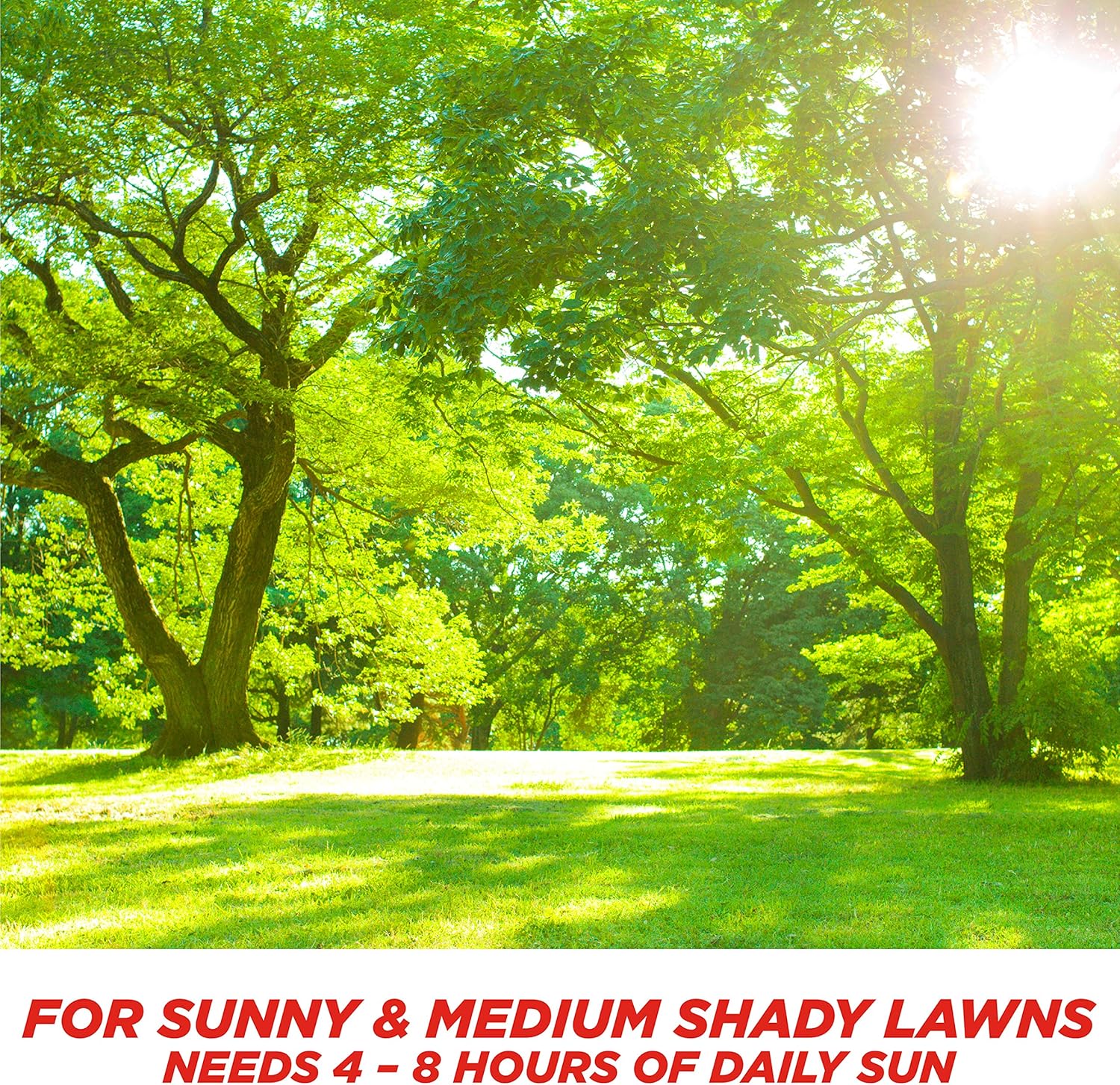 Pennington Smart Seed Sun and Shade Grass Seed, 20 LBS
