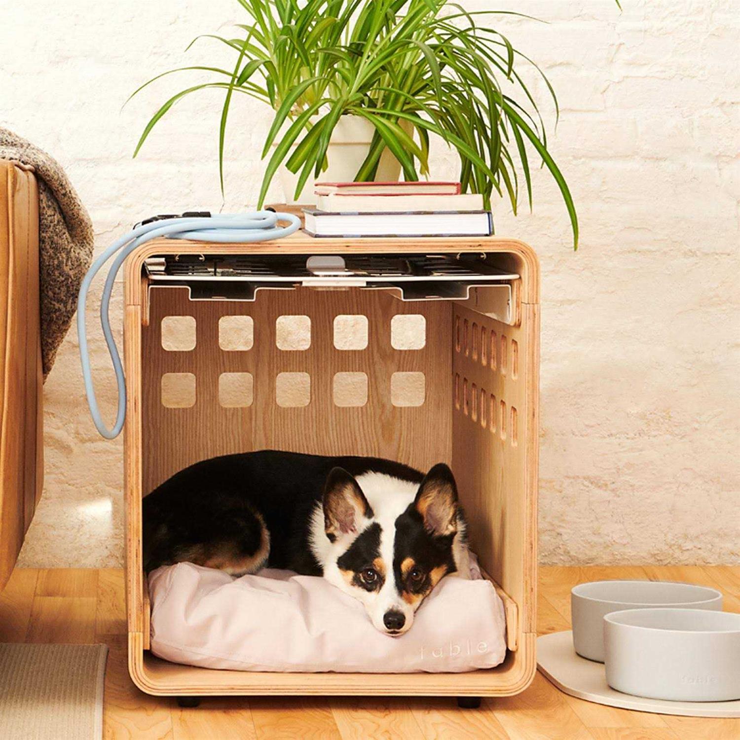 Fable Pets Pet Crate Gate - Pet Supplies online store