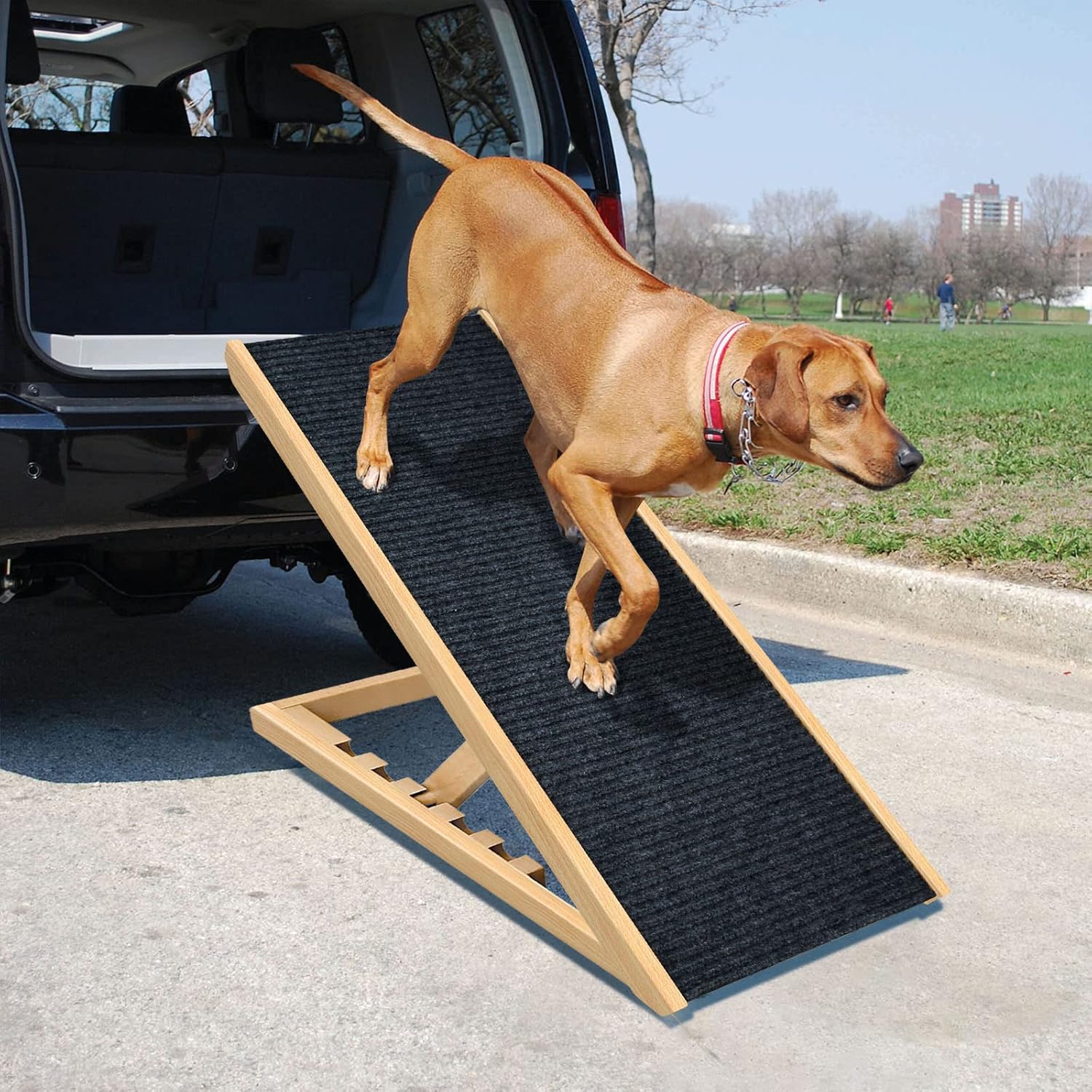 Peclot Adjustable Pet Ramp, Folding Portable Natural Wooden Ramp for All Dogs & Cats, Non Slip Carpet Surface Ramp for Bed, Couch &Car, 40” Long and Height Adjustable from 9” to 24, Up to 100 Lbs