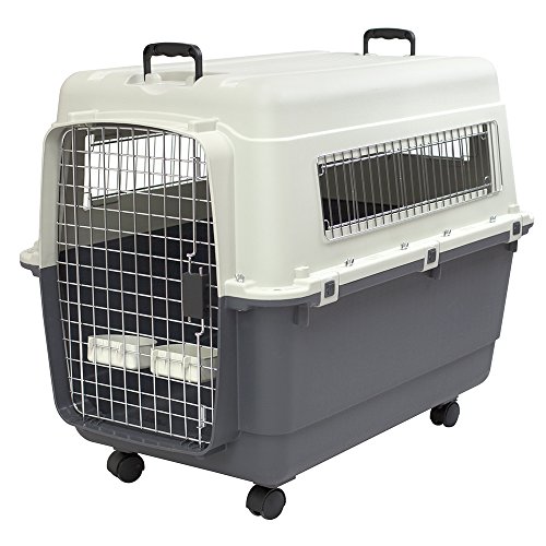 SportPet Designs Plastic Kennels Rolling Plastic Airline Approved Wire Door Travel Dog Crate, XXX-Large, Gray